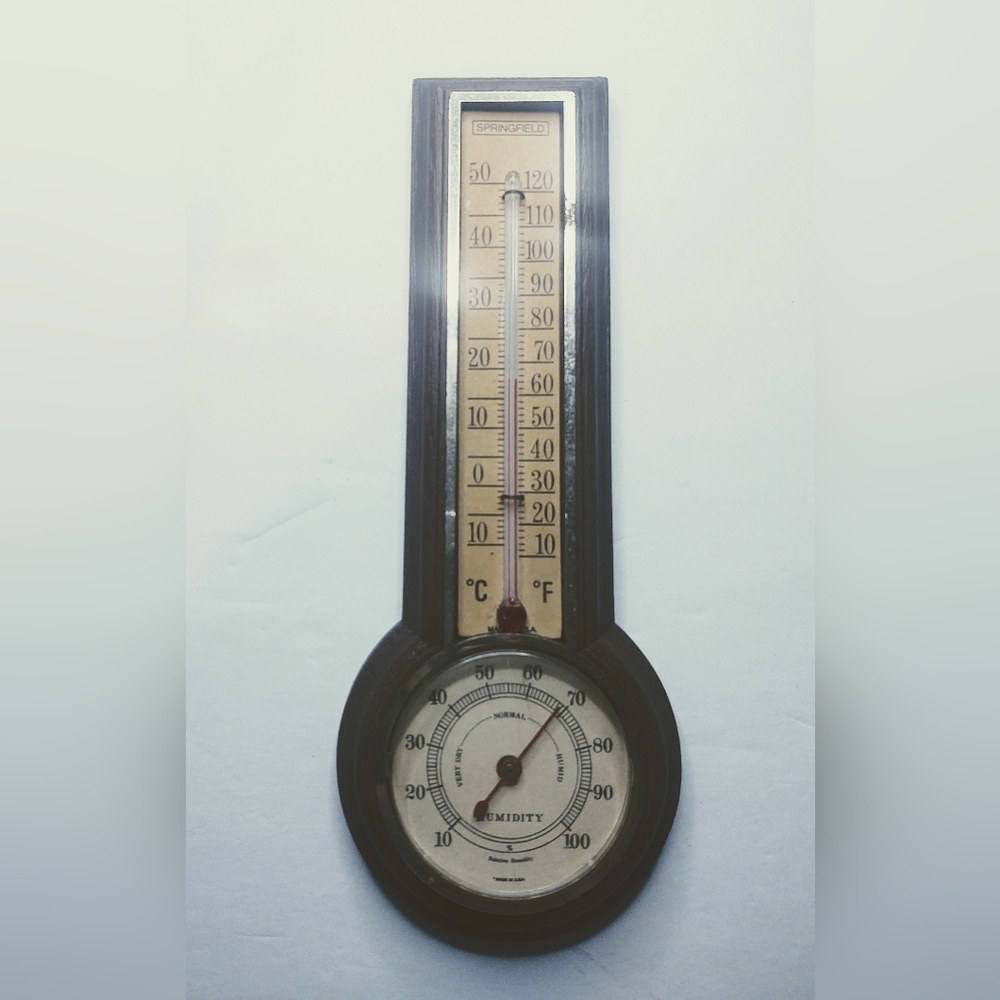 Vtg Springfield Temp & Humidity Gauge Works!